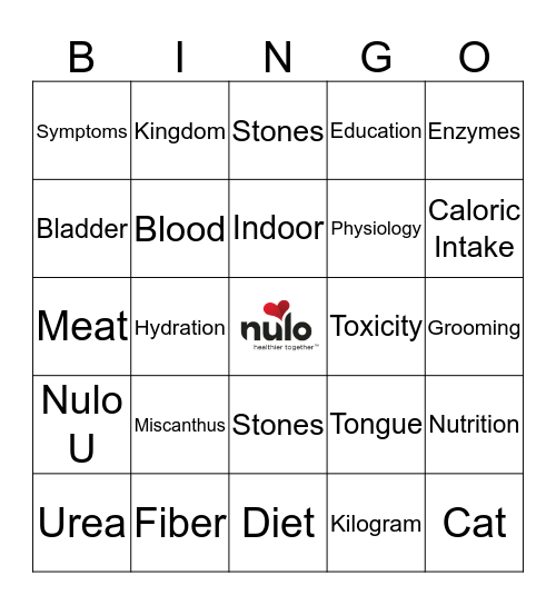 Pet Pros - Nulo Bingo!! Bingo Card