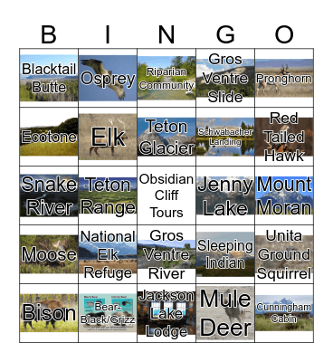 Grand Teton  BINGO Card