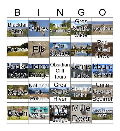 Grand Teton  BINGO Card