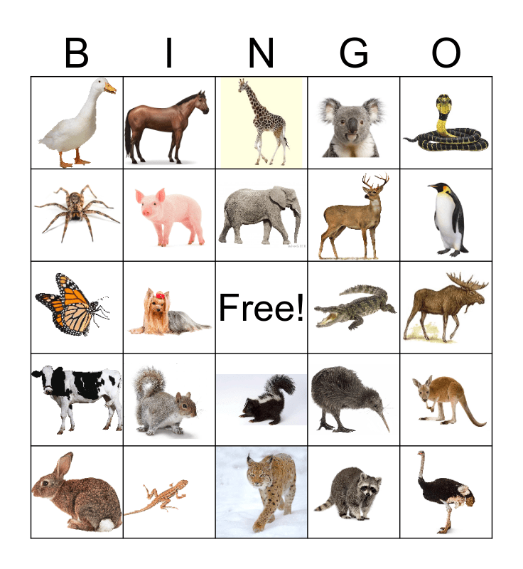 ESL Animals Bingo Card