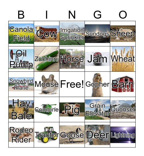 Prairie alphabet Bingo Card