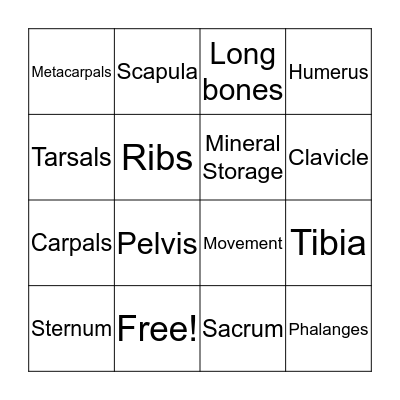 The Skeletal System Bingo Card