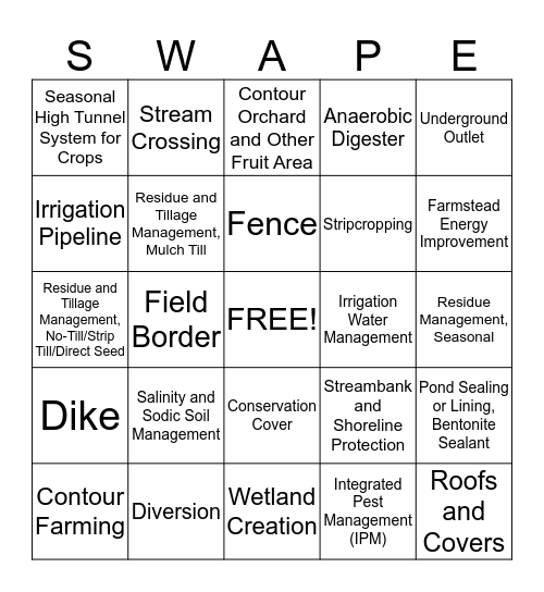 CONSERVATION Bingo Card