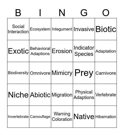 Adaptations Bingo Card