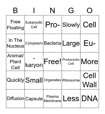 Prokaryotic & Eukaryotic Cells Bingo Card