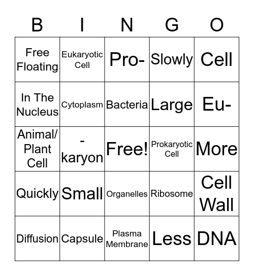 Prokaryotic & Eukaryotic Cells Bingo Card