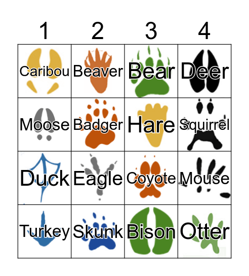 Animal tracks bingo Card