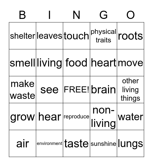 Living Things Bingo Card