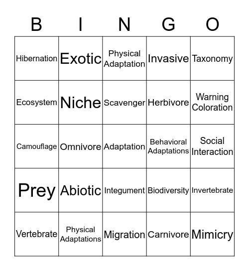 Bingo Card