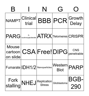 2019 Bindra Lab Retreat Bingo Card