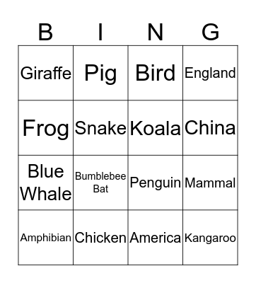 Bingo Card