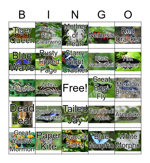 Butterfly Bingo Card