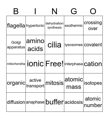 VT6 Midterm Exam Review Bingo Card