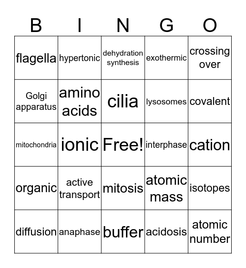 VT6 Midterm Exam Review Bingo Card