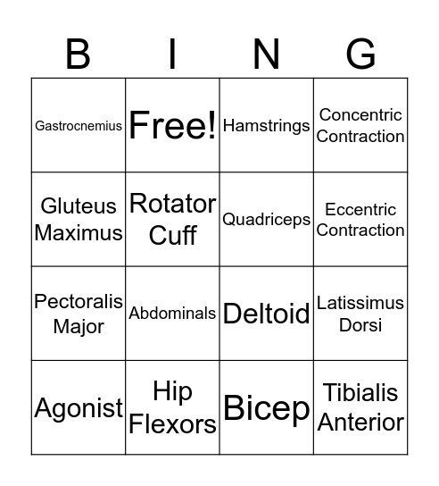 Muscular System Bingo Card