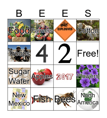 Save the Bees! Bingo Card