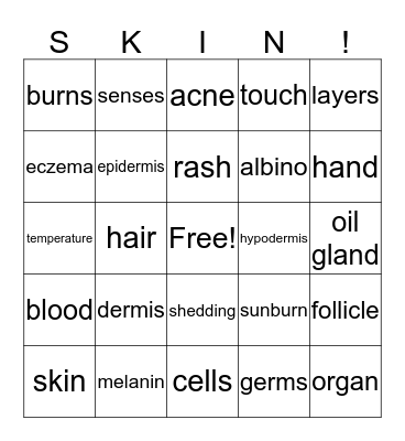 Integumentary System Bingo Card