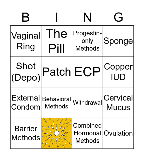 BASICS OF BIRTH CONTROL Bingo Card
