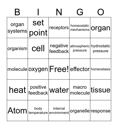 Bingo Bio 163 Bingo Card