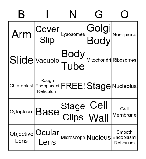 Cells and Microscopes Bingo Card