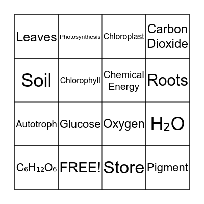 Photosynthesis Bingo Card