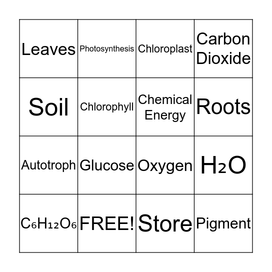Photosynthesis Bingo Card