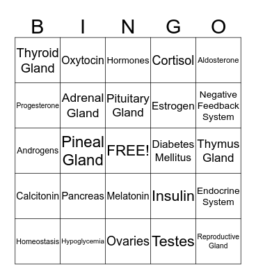 Endocrine System Bingo Card