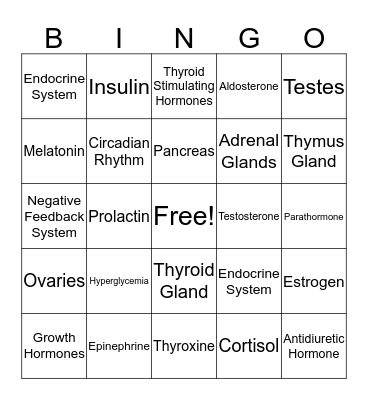 Endocrine System Bingo Card