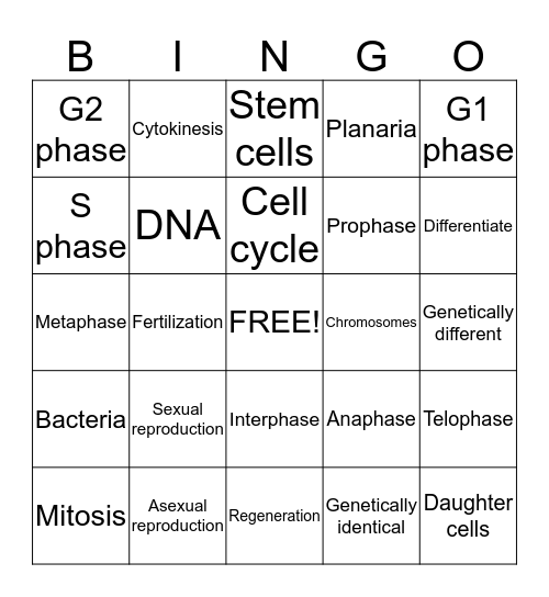 CELL REPRODUCTION Bingo Card