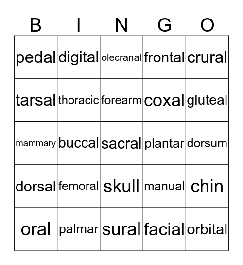 Regional Terms Bingo Card
