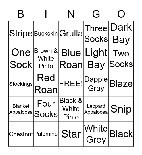 _____________________'s Bingo Board! Bingo Card
