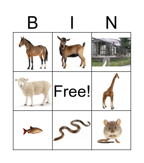 Animal BINGO Card