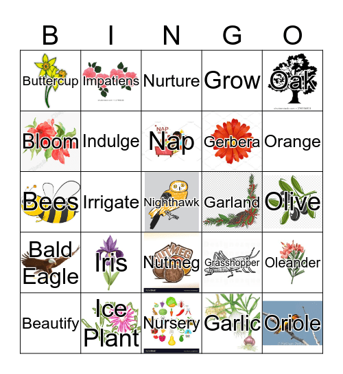 Garden Club of Laguna Woods Bingo Card