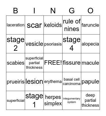 Integumentary System  Bingo Card