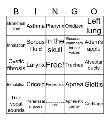 Respiratory System Bingo Card