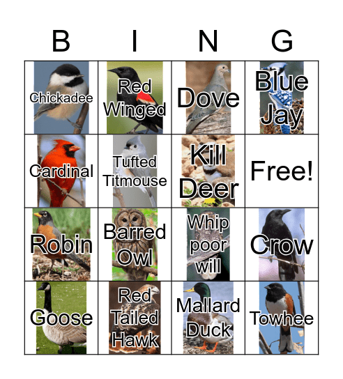 Birdsong Bingo #1 Bingo Card