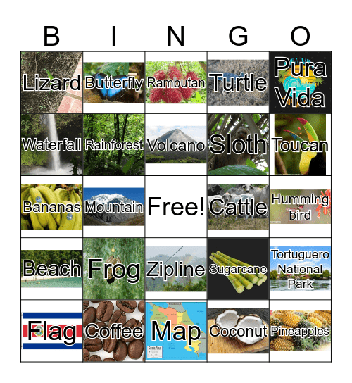 COSTA RICA BINGO! Bingo Card