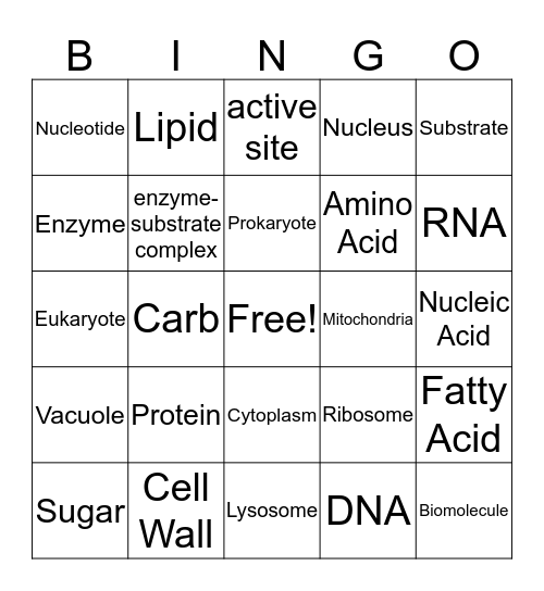 Biomolecules Bingo Card