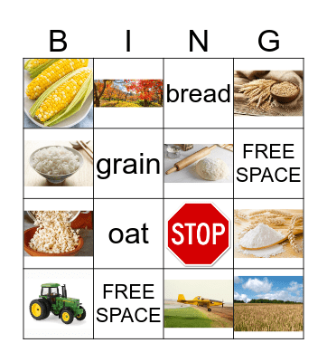 Grain Bingo Card