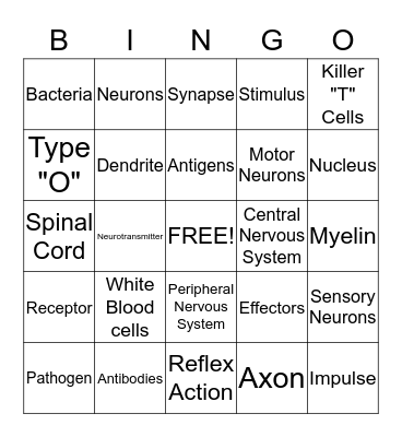 Immune, Nervous Systems Review Bingo Card