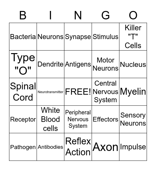 Immune, Nervous Systems Review Bingo Card