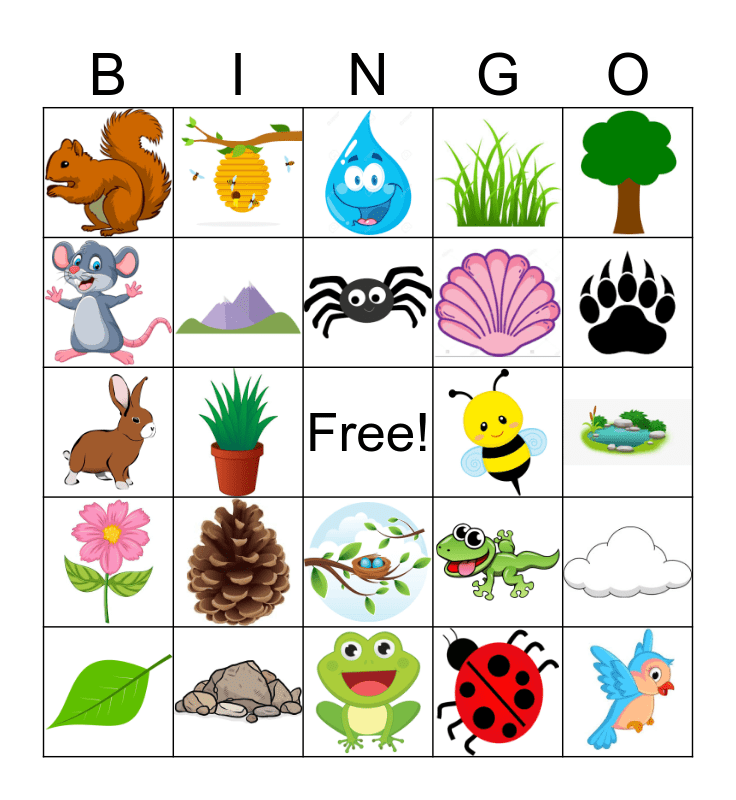things in nature bingo