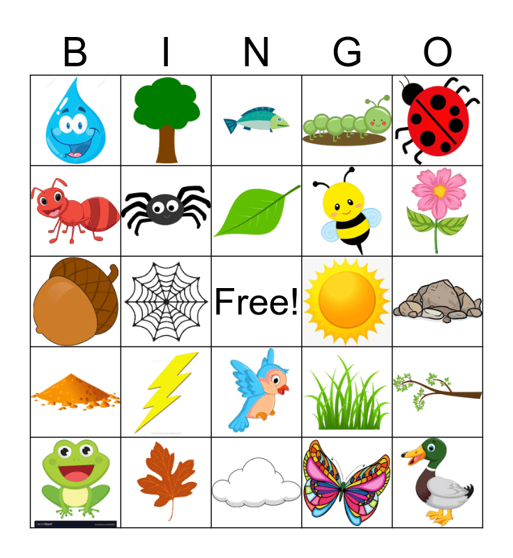 nature bingo boards