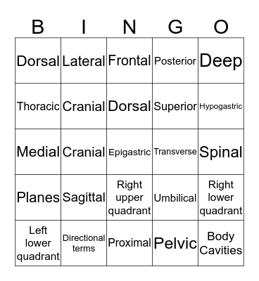 Bingo - Body Planes Bingo Card