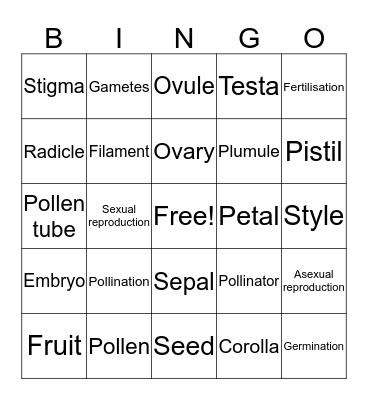 Plant Reproduction Bingo! Bingo Card