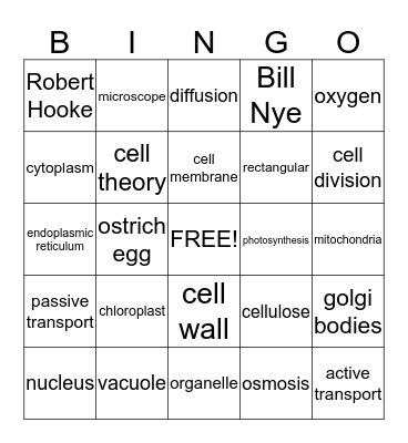Plant and Animal Cells Bingo Card