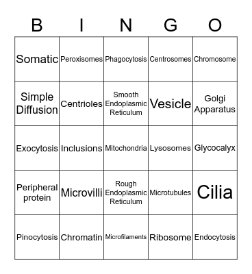 ~Cells~ Bingo Card