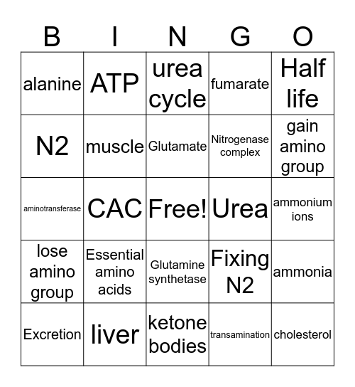 Amino acid metabolism Bingo Card