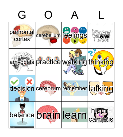 BRAIN BINGO Card