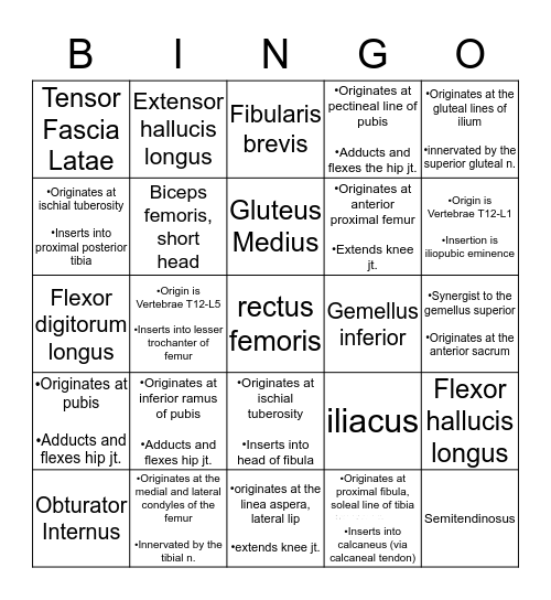 Muscles of the Hip and Thigh Bingo Card